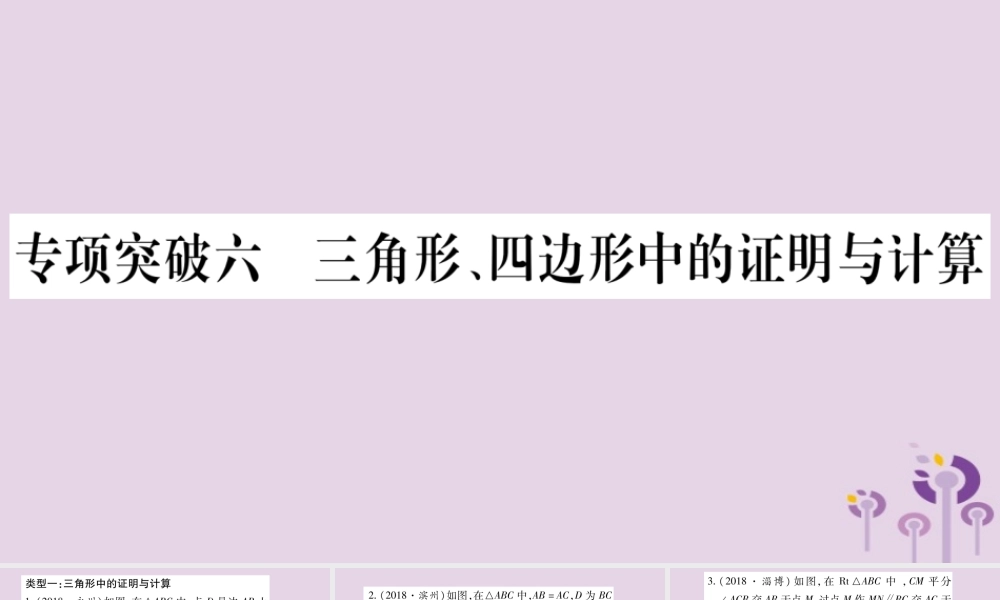中考数学复习 第二轮 中档题突破 专项突破6 三角形、四边形中的证明与计算习题课件