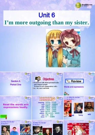 八年级英语上册(Unit 6 I'm more outgoing than my sister Section A1)课件 人教新目标版 课件