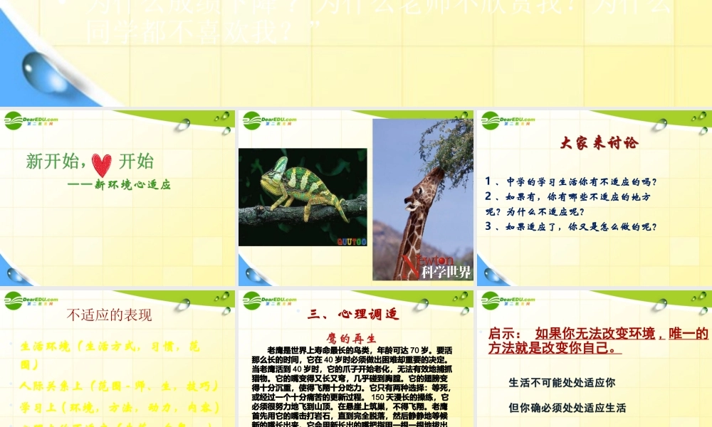 新生活)课件 苏教版 课件