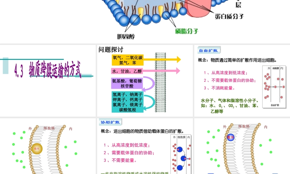 4.3物质跨膜运输的方式-课件(共23张PPT)