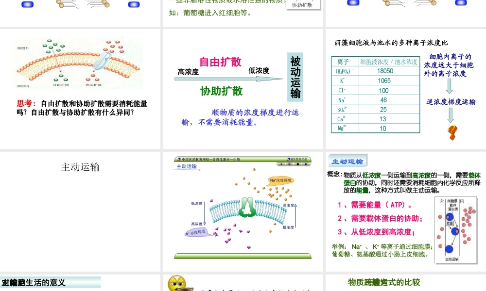 4.3物质跨膜运输的方式-课件(共23张PPT)