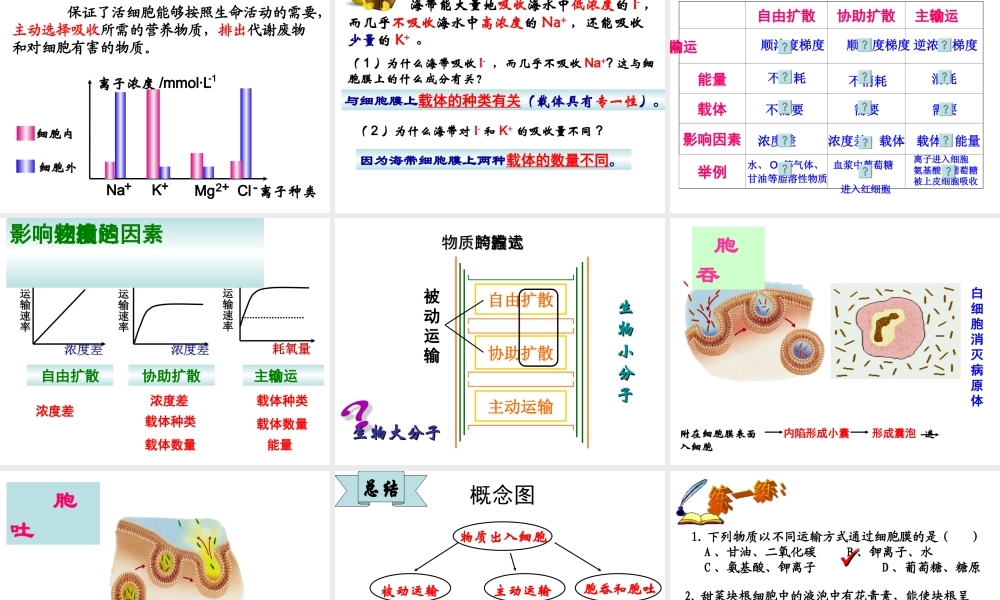 4.3物质跨膜运输的方式-课件(共23张PPT)