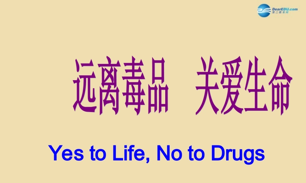 中学安全教育主题班会(远离毒品，珍爱生命)课件