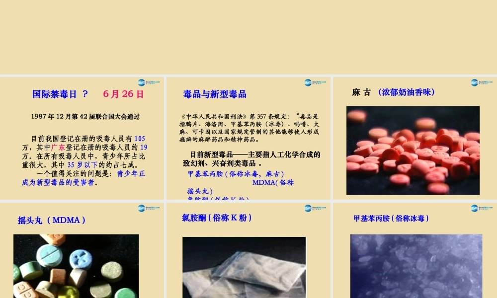 中学安全教育主题班会(远离毒品，珍爱生命)课件