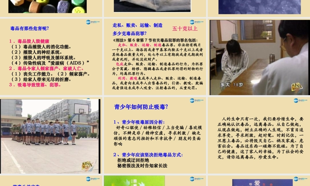 中学安全教育主题班会(远离毒品，珍爱生命)课件