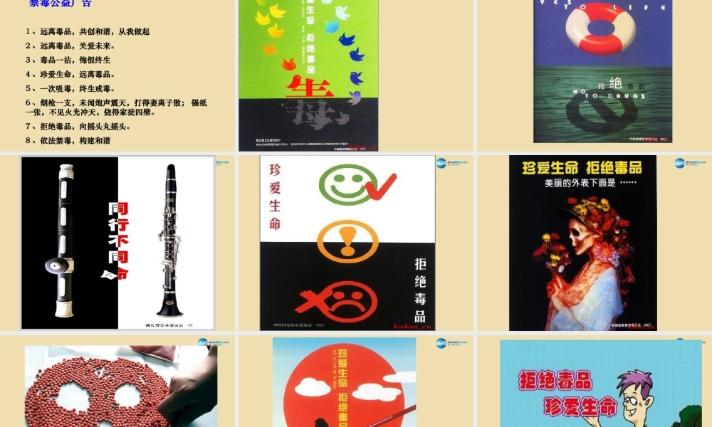 中学安全教育主题班会(远离毒品，珍爱生命)课件