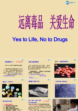 中学安全教育主题班会(远离毒品，珍爱生命)课件
