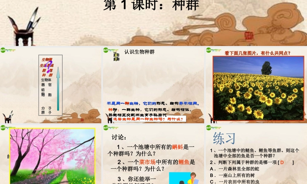 九年级科学下册 种群与生物群落(第一课时)课件 浙教版 课件