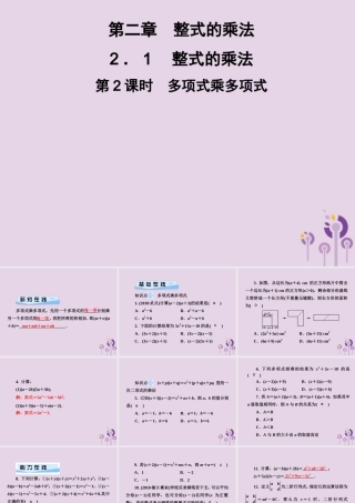 七年级数学下册 第2章(整式的乘法)2.1 整式的乘法 2.1.4 多项式的乘法 第2课时 多项式乘多项式习题课件 (新版)湘教版 课件