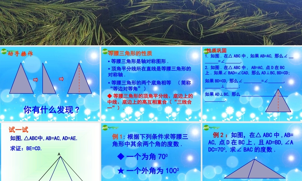 八年级数学上册 1.5等腰三角形的轴对称性课件 苏科版 课件