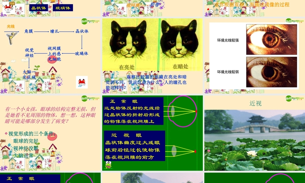 七年级生物 人体对外界环境的感知课件 人教新课标版 课件