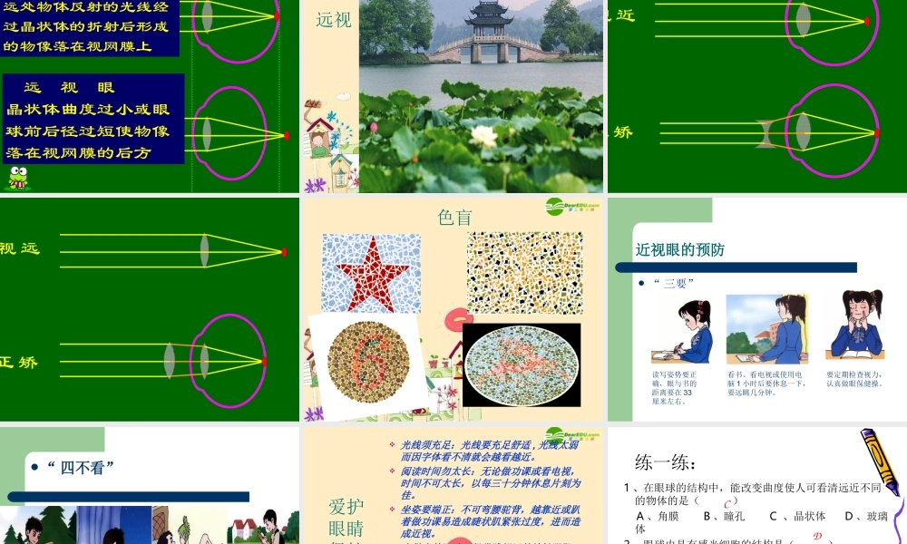 七年级生物 人体对外界环境的感知课件 人教新课标版 课件