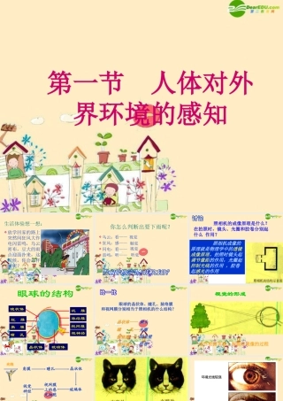 七年级生物 人体对外界环境的感知课件 人教新课标版 课件