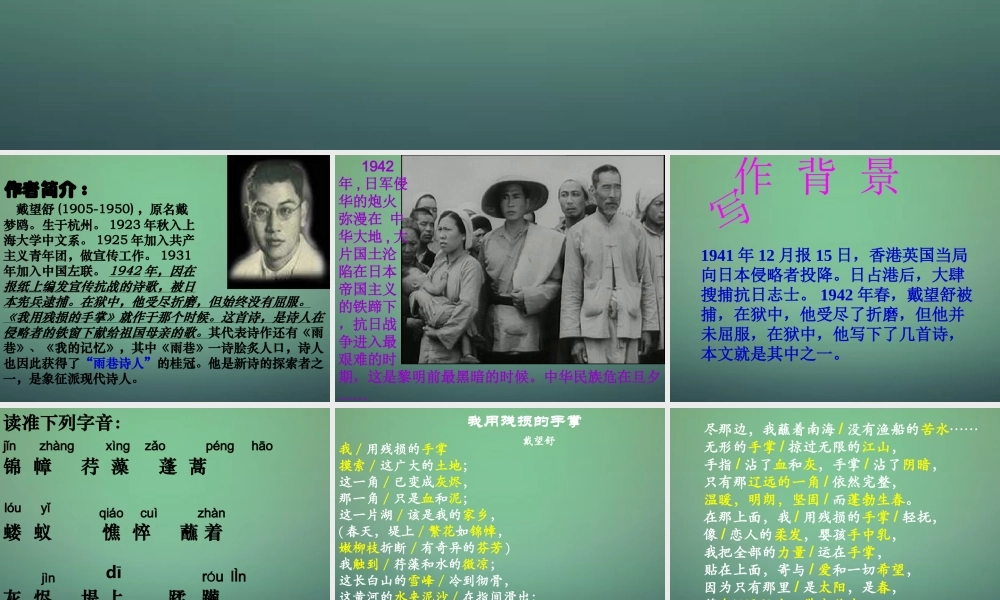 九年级语文下册 2 我用残损的手掌课件 新人教版 课件