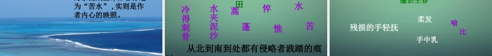 九年级语文下册 2 我用残损的手掌课件 新人教版 课件
