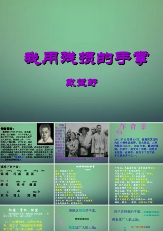九年级语文下册 2 我用残损的手掌课件 新人教版 课件
