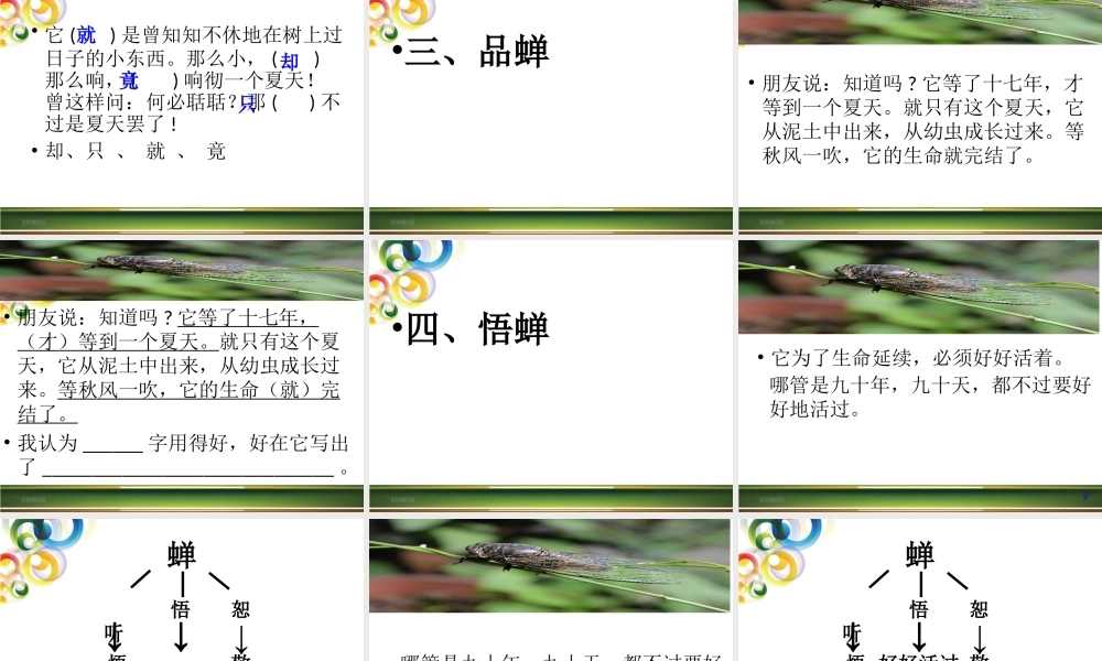 《蝉》SSs晒课课件