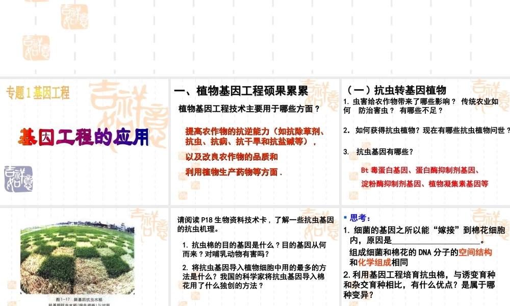 基因工程的应用上课用