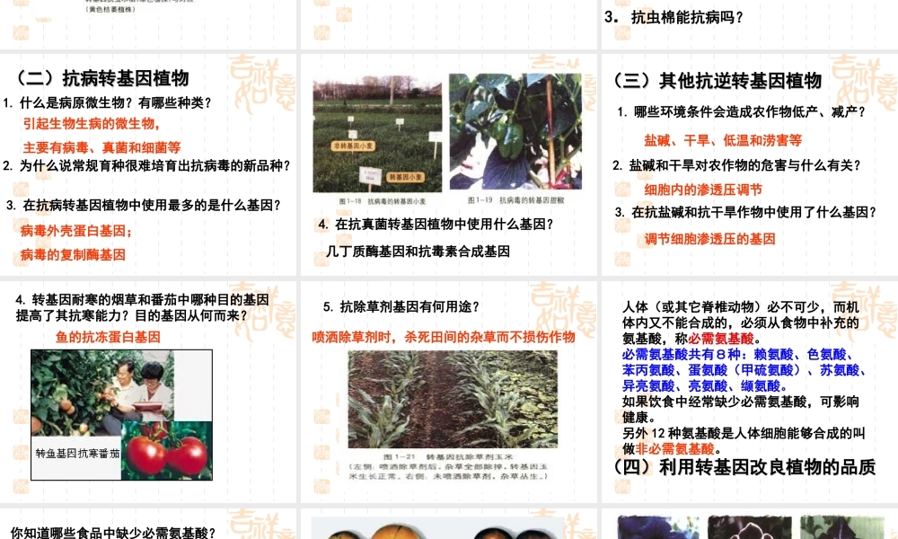 基因工程的应用上课用