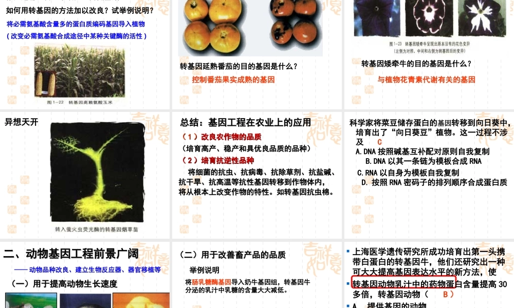 基因工程的应用上课用