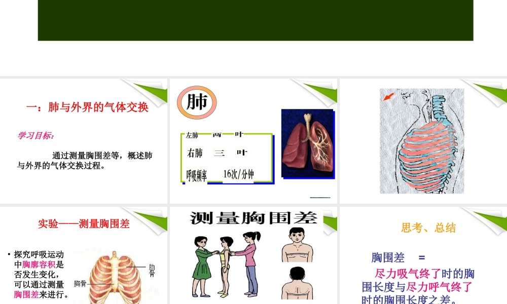 七年级生物上册 第二节 发生在肺内的气体交换2课时课件 人教新课标版 课件