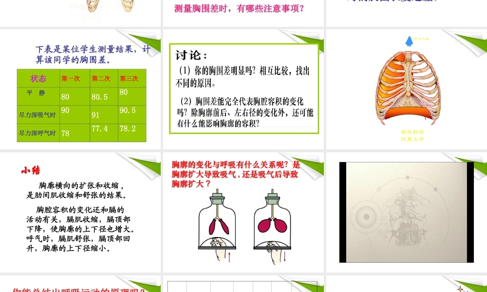 七年级生物上册 第二节 发生在肺内的气体交换2课时课件 人教新课标版 课件