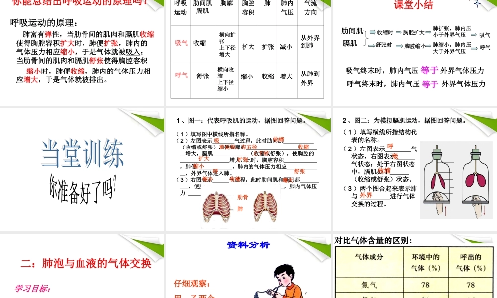 七年级生物上册 第二节 发生在肺内的气体交换2课时课件 人教新课标版 课件
