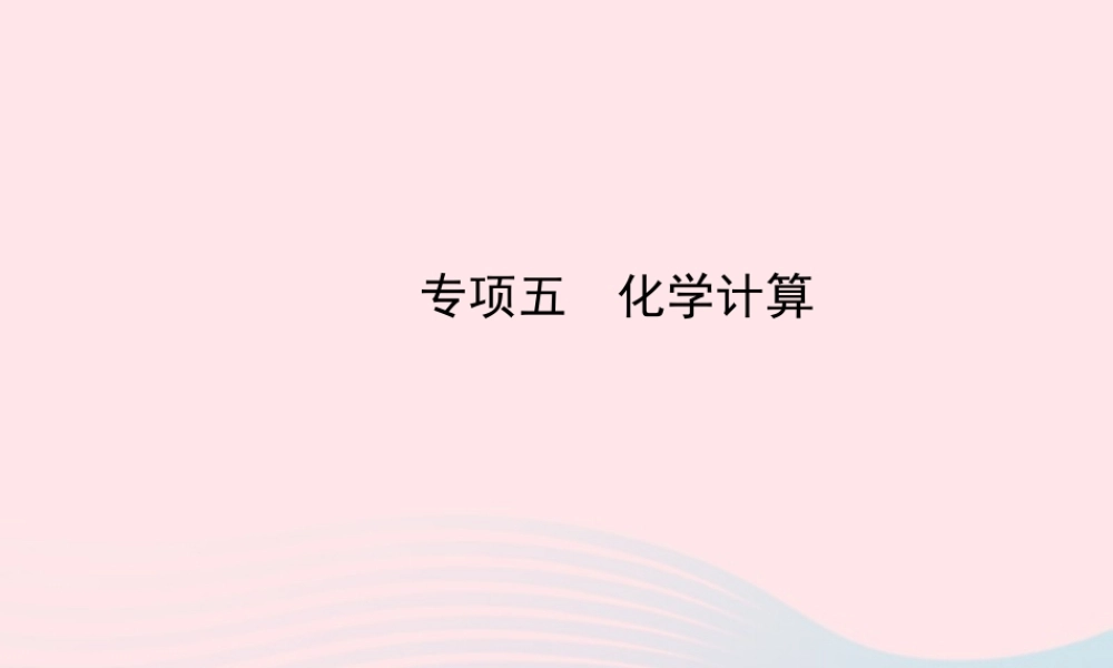 中考化学全程复习 专项五 化学计算课件 新人教版 课件