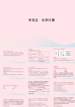 中考化学全程复习 专项五 化学计算课件 新人教版 课件