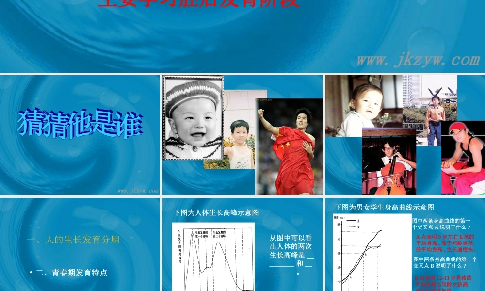 八年级生物 人的生长和发育 课件