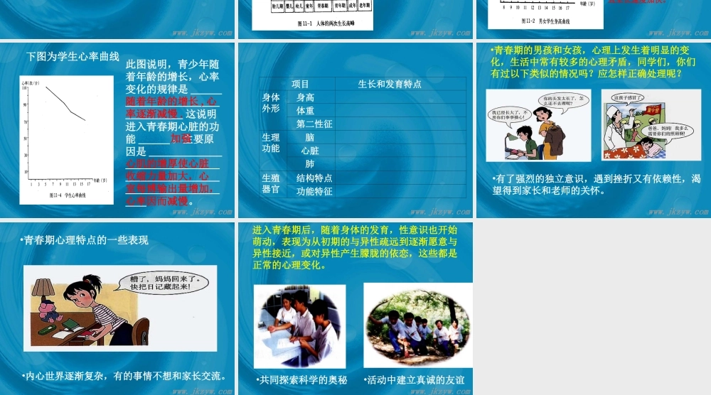八年级生物 人的生长和发育 课件