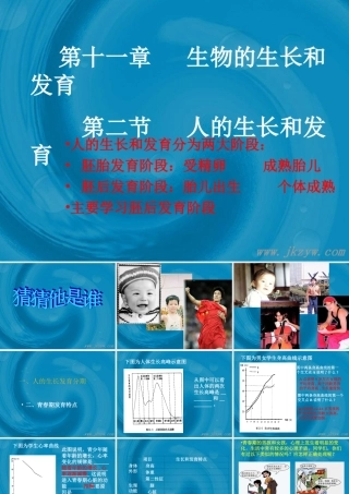 八年级生物 人的生长和发育 课件