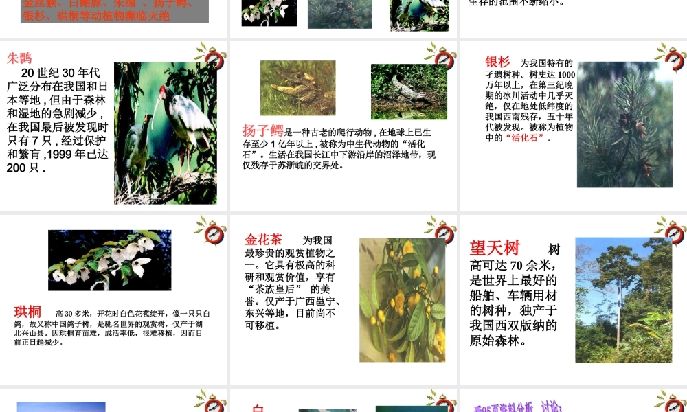八年级生物上册 细菌课件 人教新课标版 课件