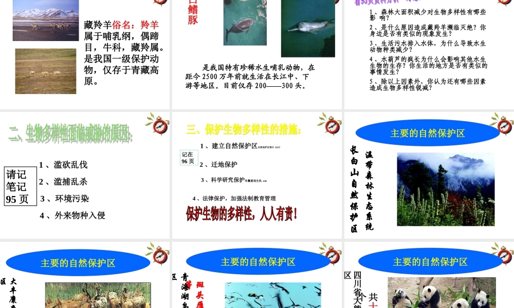 八年级生物上册 细菌课件 人教新课标版 课件