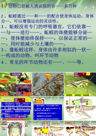 七年级生物上册 动物 节肢动物、鱼类课件 济南版 课件