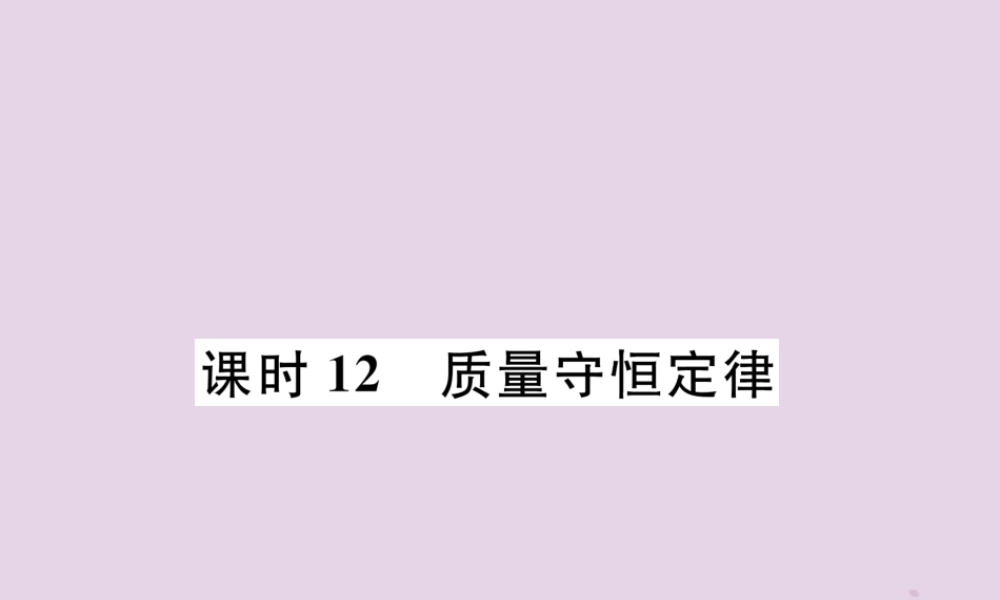 中考化学总复习 第1编 主题复习 模块3 物质的化学变化 课时12 质量守恒定律(精练)课件