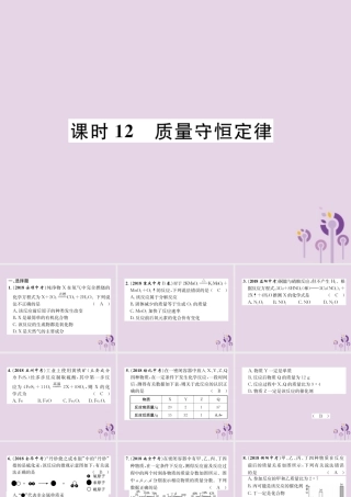 中考化学总复习 第1编 主题复习 模块3 物质的化学变化 课时12 质量守恒定律(精练)课件