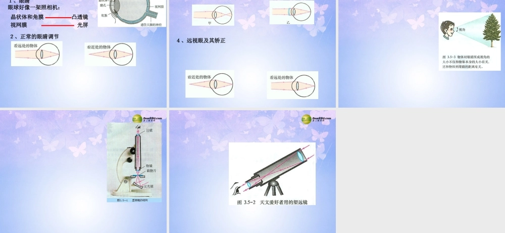 八年级物理上册 第三章 透镜及其应用复习课件 新人教版 课件