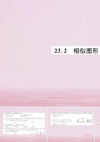 九年级数学上册 第23章 图形的相似 232 相似图形练习课件 (新版)华东师大版 课件