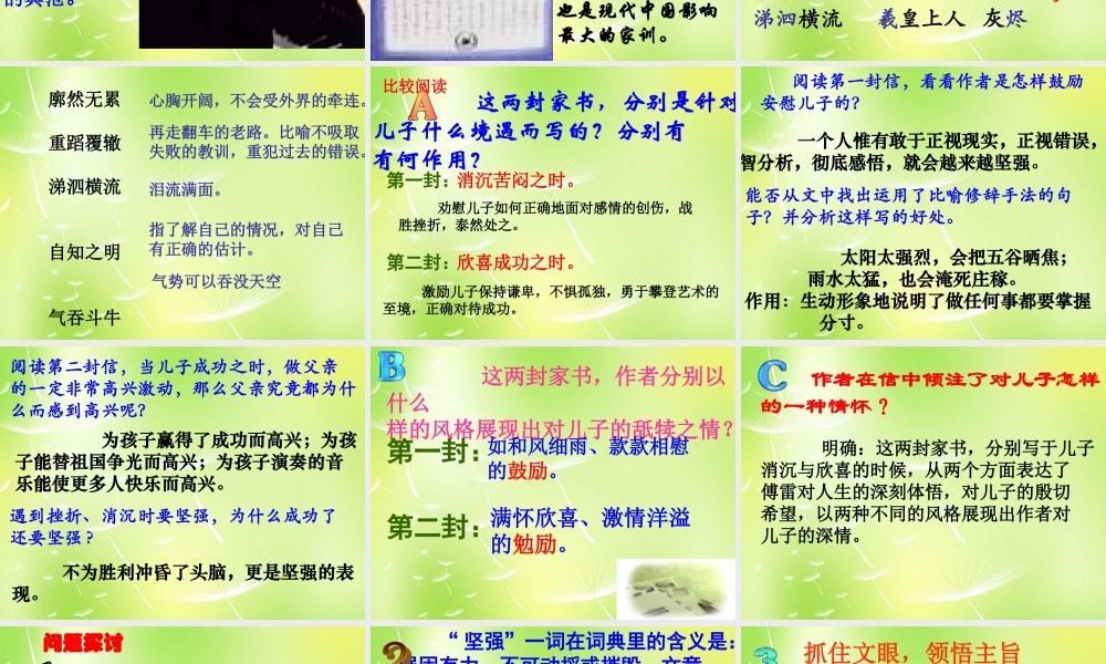 九年级语文上册 第7课(傅雷家书两则)课件 新人教版 课件