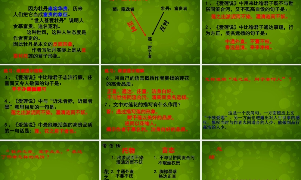 八年级语文上册 22 爱莲说课件 新人教版 课件