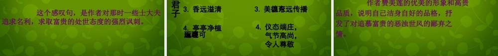 八年级语文上册 22 爱莲说课件 新人教版 课件