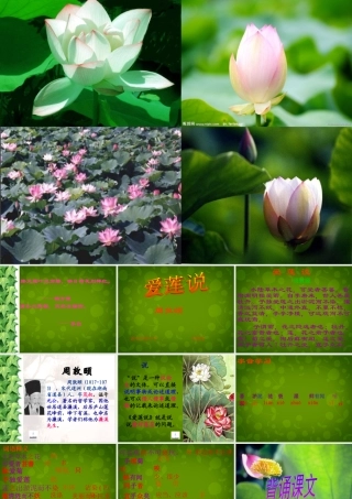 八年级语文上册 22 爱莲说课件 新人教版 课件