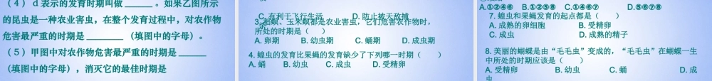 中学八年级生物上册 昆虫的生殖和发育课件 济南版 课件