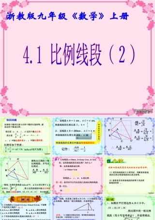 九年级数学比例线段2课件 浙教版 课件