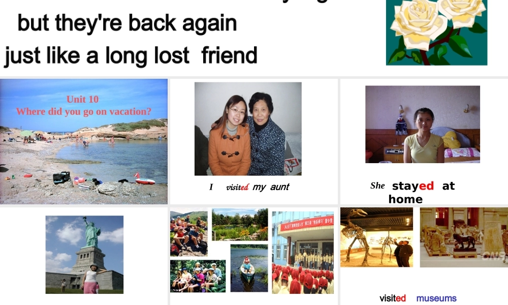 七年级英语下册第十单元课件 人教版 课件