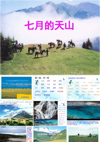 七月的天山四年语文课件PPT