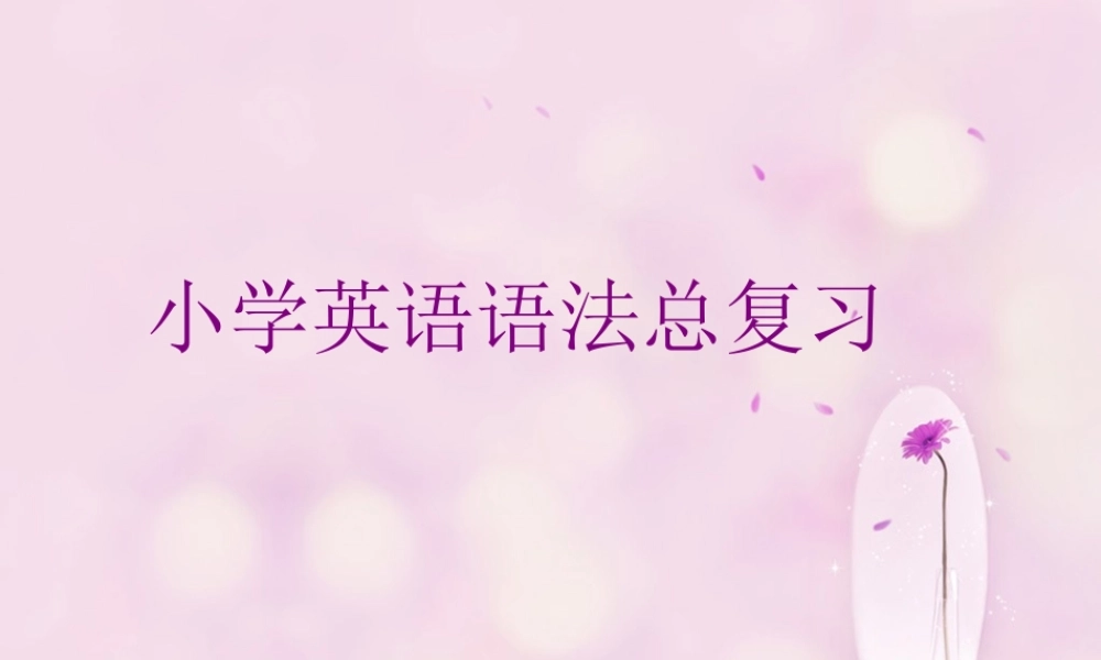 小学英语语法总复习(整理版)