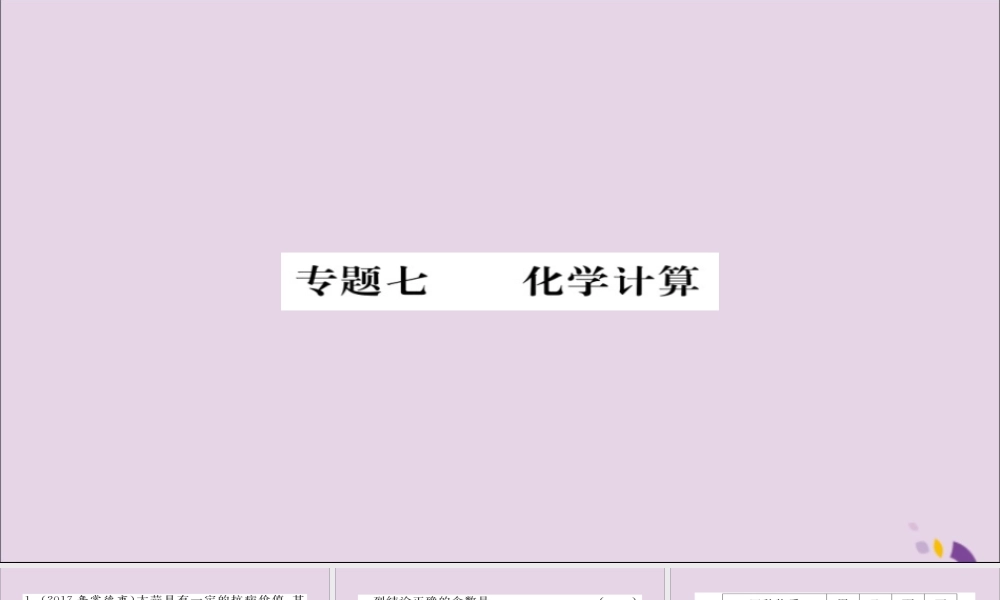 中考化学总复习 第二轮 专题训练 提升能力 专题七 化学计算练习课件