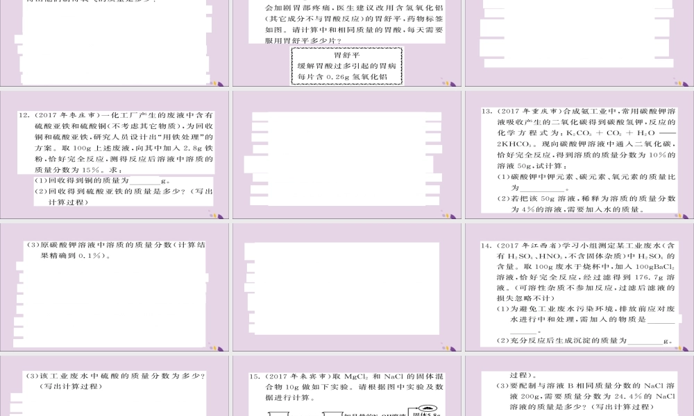 中考化学总复习 第二轮 专题训练 提升能力 专题七 化学计算练习课件